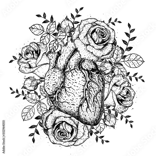 Heart and rose flower hand drawn sketch. Vintage vector illustration. Anatomical heart. Isolated black and white heart illustration. Engraved style.
