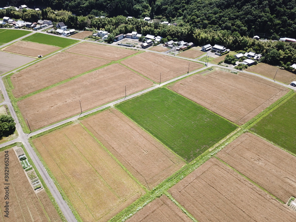 Naklejka premium 広大な田んぼ 岐阜 美濃加茂 ドローン空撮