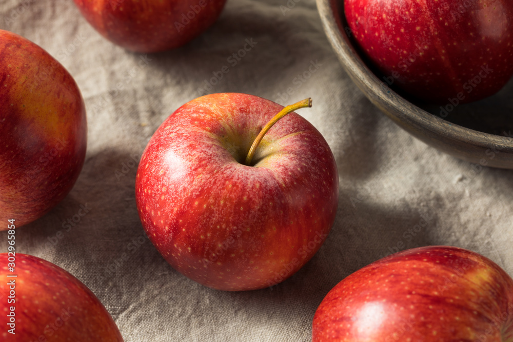 Raw Red Organic Gala Apples Stock Photo by bhofack2