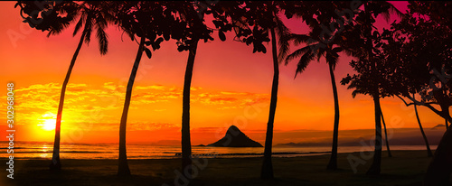 zachód słońca w Oahu z palmami