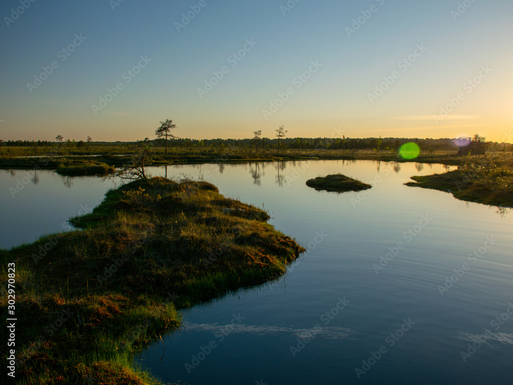 spring landscape in the swamp. small swamp lakes, mosses and swamp pines. small island of swamp water and beautiful reflections spring landscape in the swamp. small swamp lakes, mosses and swamp pines. small island of swamp water and beautiful reflections