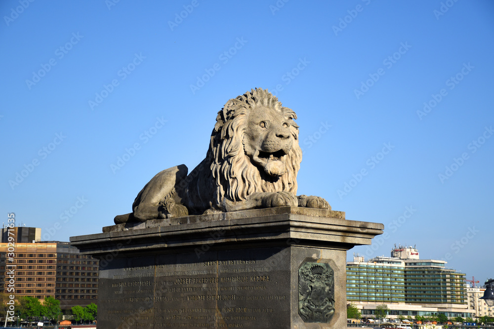 Landmark Lions of The Szechenyi Chain Bridge in Budapest