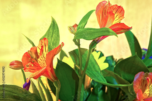 Orchid flowers in a bouquet.