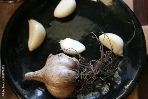  garlic