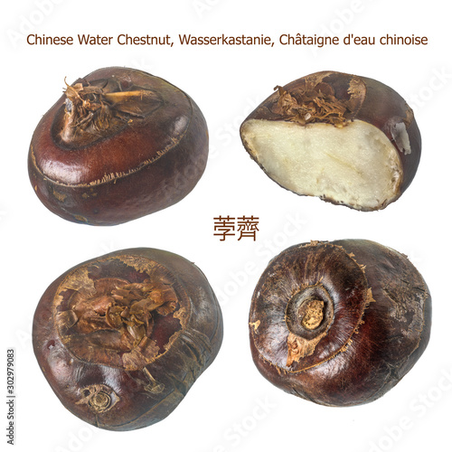 Water chestnuts, isolated