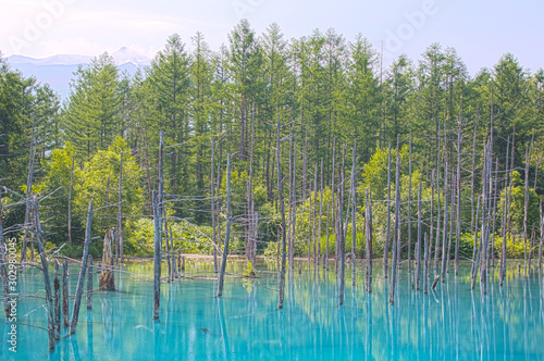 BluePond HDR, Biei Pond, Hokkaido, Japan