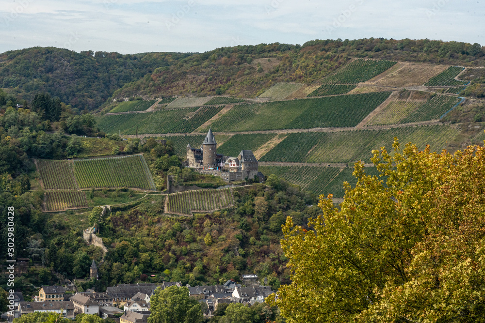 bacharach castle on rheinsteig with vineyards, germany