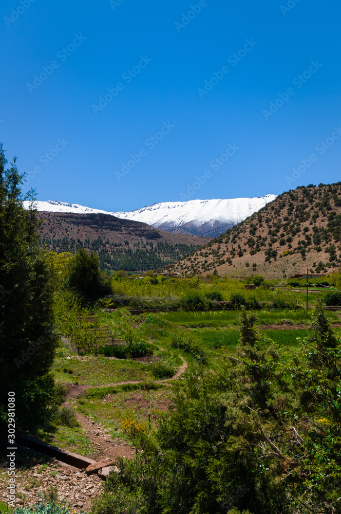 Agriculture in high mountain of the Aït Bouguemez valley in Morocco