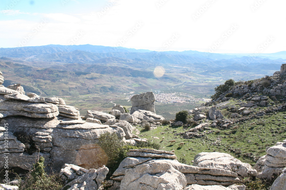 Bouquetins montagnes sud de l'Espagne