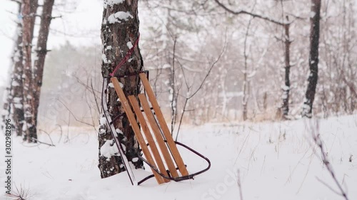 Vintage wooden sled supported by spruce in snowy winter forest. Festive Christmas snowy background with old sleigh leaned on pine tree under snowfall. Tracking slow motion shot.