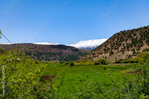 Agriculture in high mountain of the A  t Bouguemez valley in Morocco