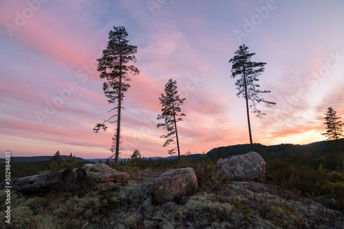 Sonnenuntergang in Norwegens Wälder