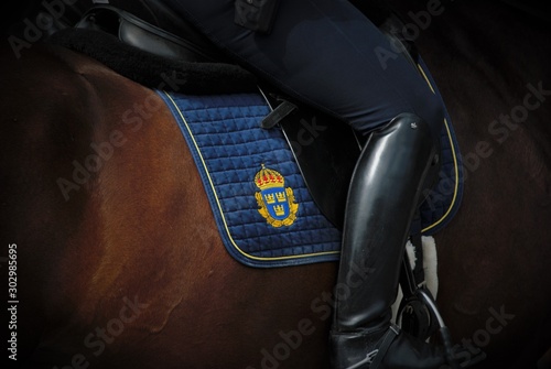 in the performance of their duties, the Swedish police