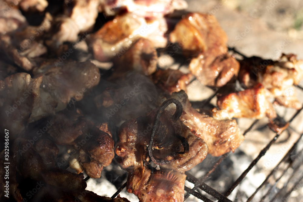 Cooking shish kebabs on the grill on the coals. Appetizing pieces of meat are fried on skewers. Kebabs are fried on coals