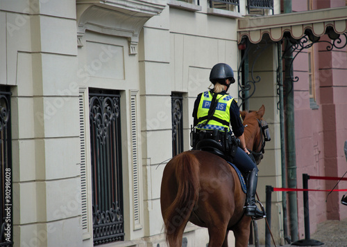 in the performance of their duties, the Swedish police