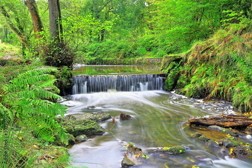 Fototapeta Naklejka Na Ścianę i Meble -  A color photo of a waterfall  at Cannop Ponds in the Forest of Dean, England.      