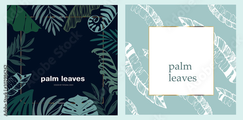 monstera palm leaves vector for post golden frame for text