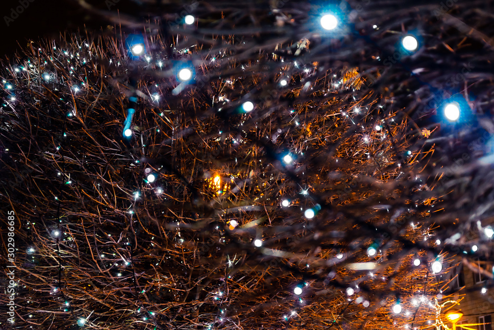 Christmas holidays. Bokeh of the illuminating lights of a garland in the branches of tree outdoor at winter night Christmas holidays. Bokeh of the illuminating lights of a garland in the branches of tree outdoor at winter night