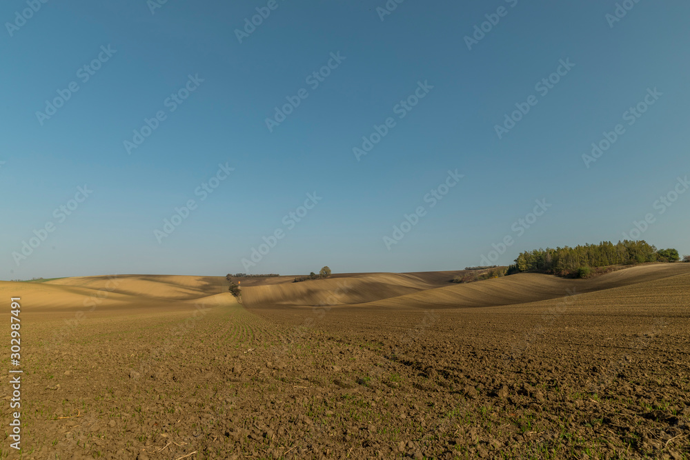 Fototapeta premium Landscape of South Moravia region known for growing vines captured farms and fields during a sunny day in autumn in the fields moving animals and a gentle blue sky without clouds.