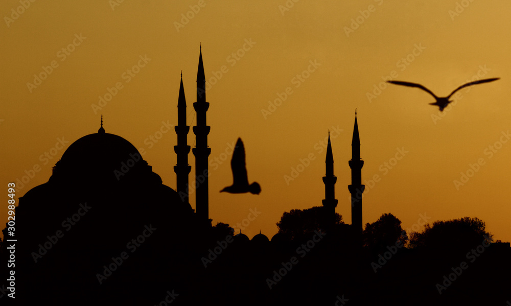 silhouette of blue mosque in sunset