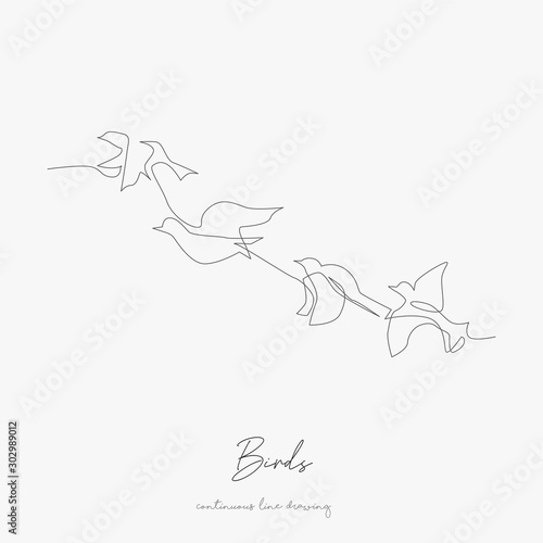 continuous line drawing. birds. simple vector illustration. birds concept hand drawing sketch line.