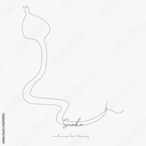 continuous line drawing. snake. simple vector illustration. snake concept hand drawing sketch line.