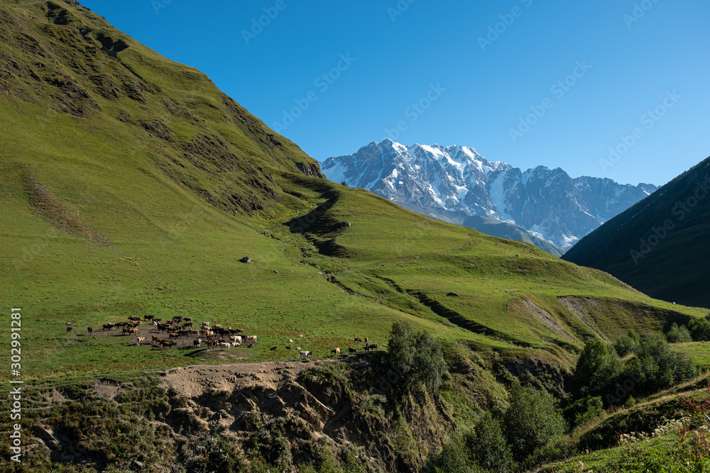 Obraz premium Walking trek to Shakra glacier