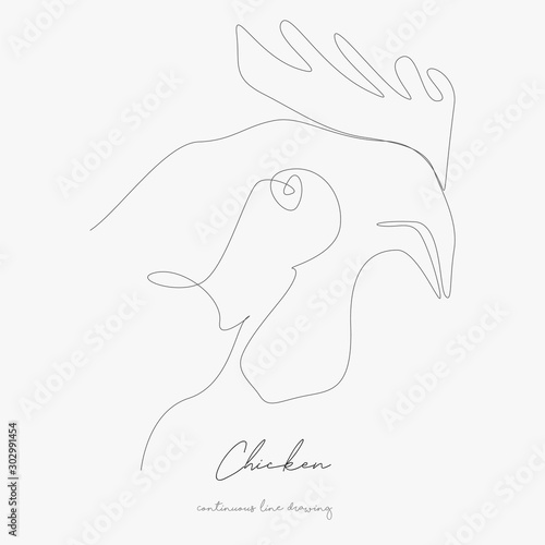 continuous line drawing. chicken. simple vector illustration. chicken concept hand drawing sketch line.