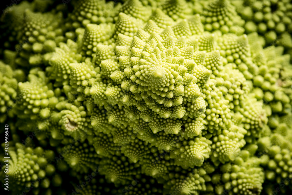 Romanesco Close-up Romanesco Close-up
