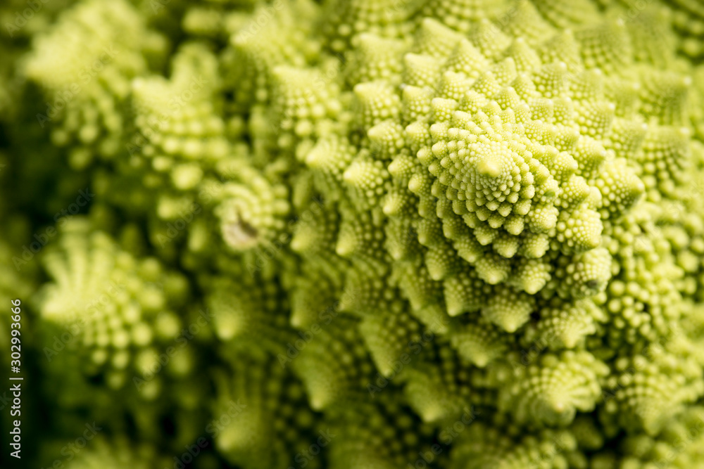 Romanesco Close-up Romanesco Close-up