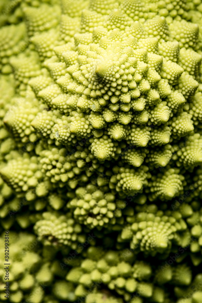 Romanesco Close-up Romanesco Close-up