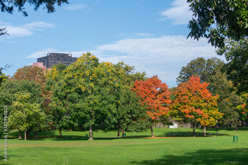 beautiful view of a park on a sunny fall day with green trees and trees changing colors