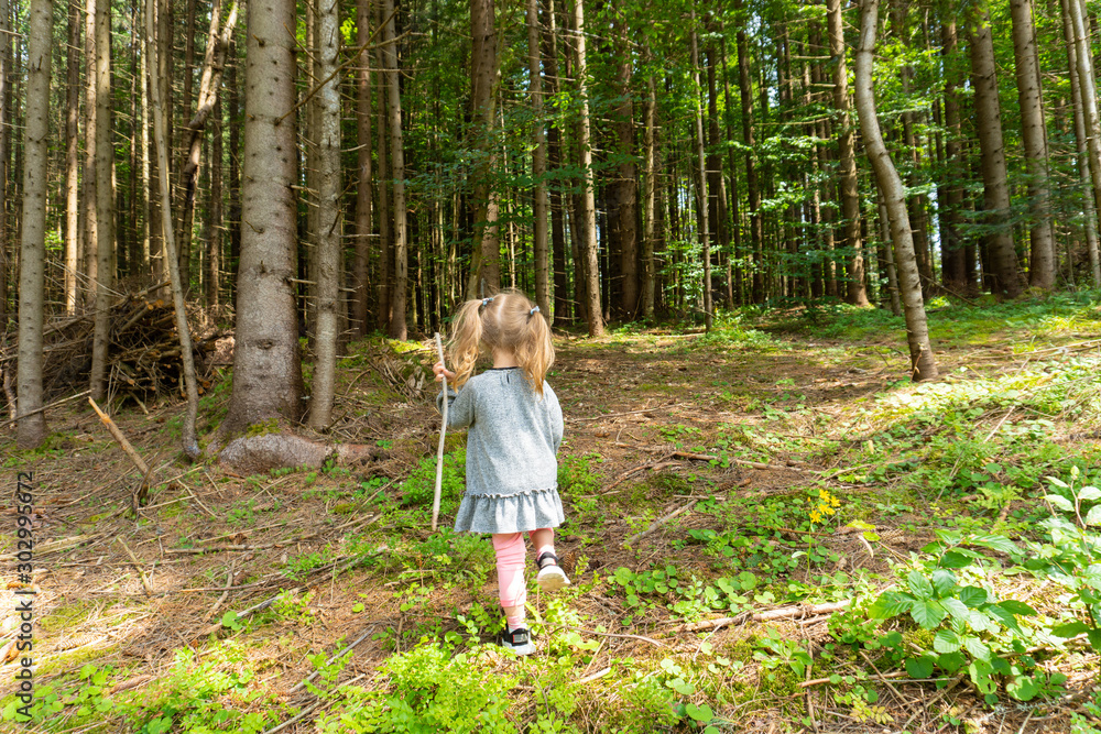 Little child girl walking alone in the pine tree