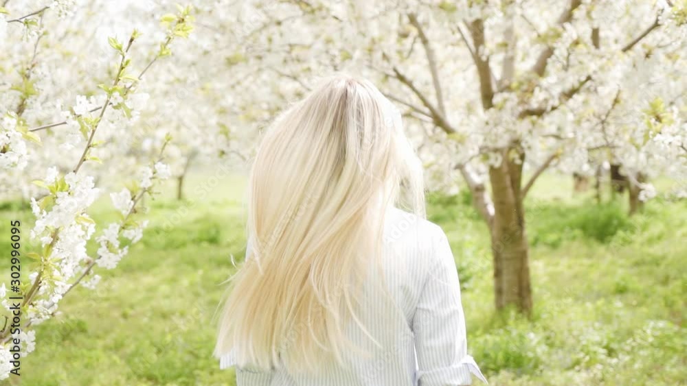 beautiful blonde running through the blooming cherry garden. trees with white flowers on a background. The concept of spring. Slow motion. beautiful blonde running through the blooming cherry garden. trees with white flowers on a background. The concept of spring. Slow motion.