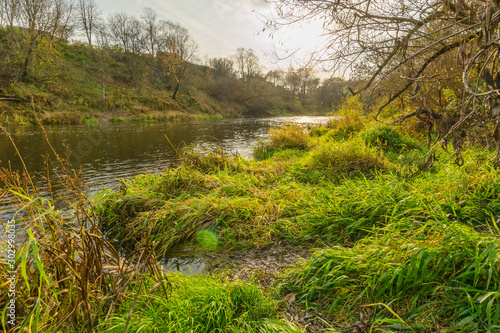   river in autumn, trees in fallen leaves and yellow and green grass photo