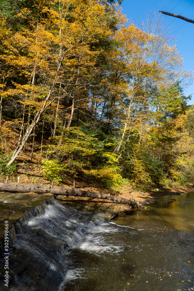 Autumn River in Pennsylvania