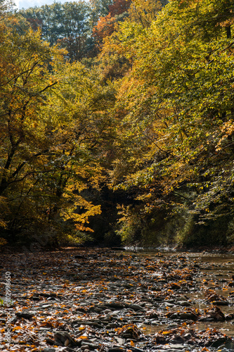 Autumn River in Pennsylvania