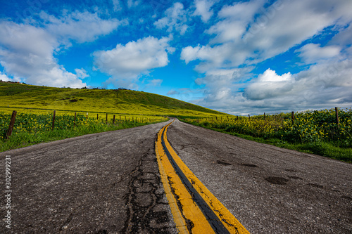 Yokohl Valley, Tulare County, road and field in springtime photo