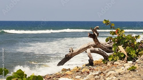 Coastline between Baracoa and Yumuri river, Guantanamo province, Cuba photo