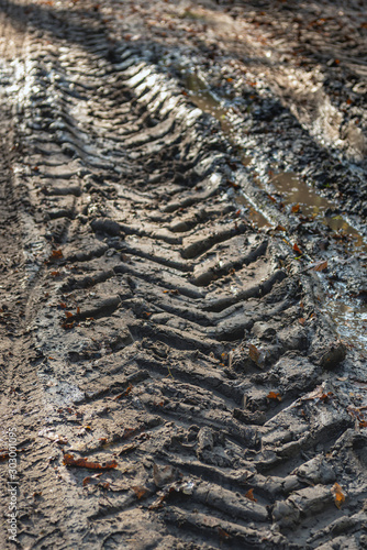 Tire tracks on a wet forest path from close