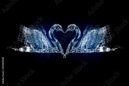 Two bird/swan with open wings are on the black background. Swans are looking at each other. There is heart between them. Happy Valentine's Day
