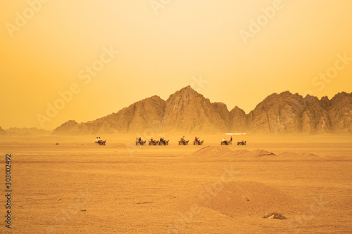 ATV desert ride