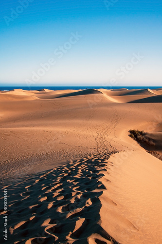 Dune di Maspalomas - Gran Canaria photo
