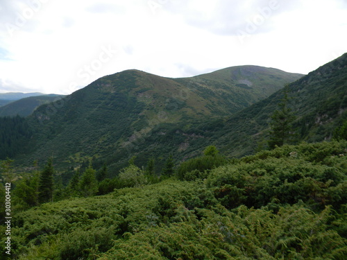 Carpathian mountains of Ukraine
