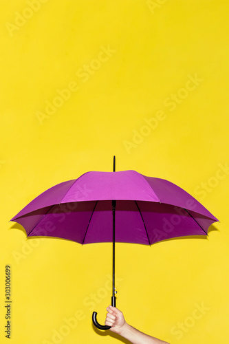 A man holds in his hand a purple umbrella on a background of yellow lime wall. Concept autumn  business  art.