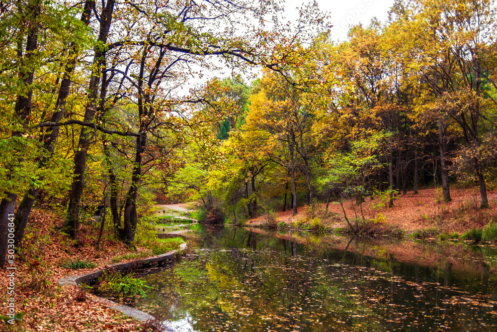 Fotografie Small lake surrounded with forest at autumn