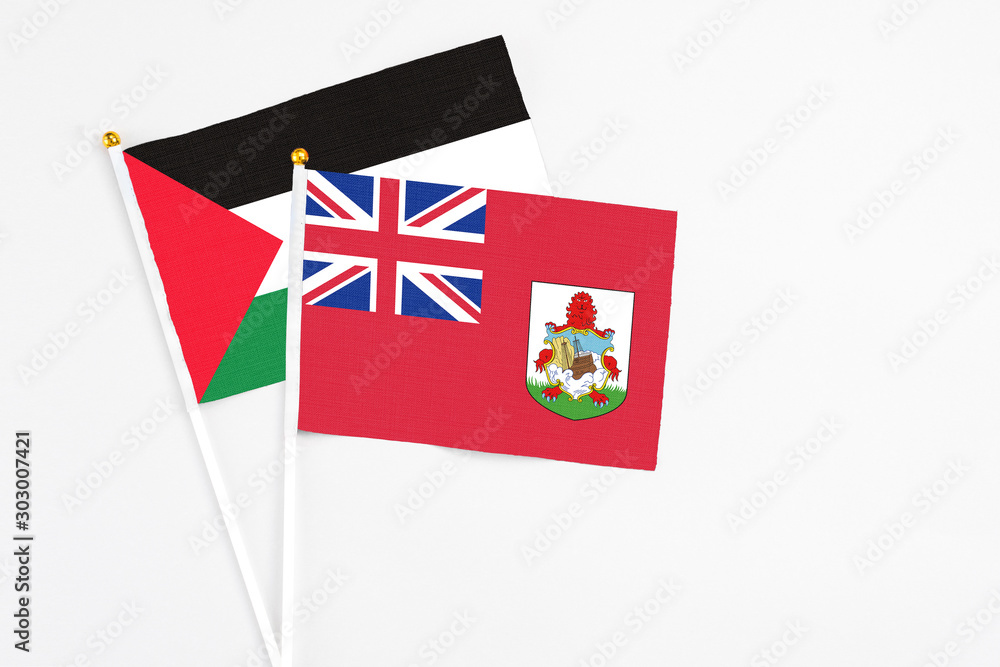 Fototapeta premium Bermuda and Palestine stick flags on white background. High quality fabric, miniature national flag. Peaceful global concept.White floor for copy space.
