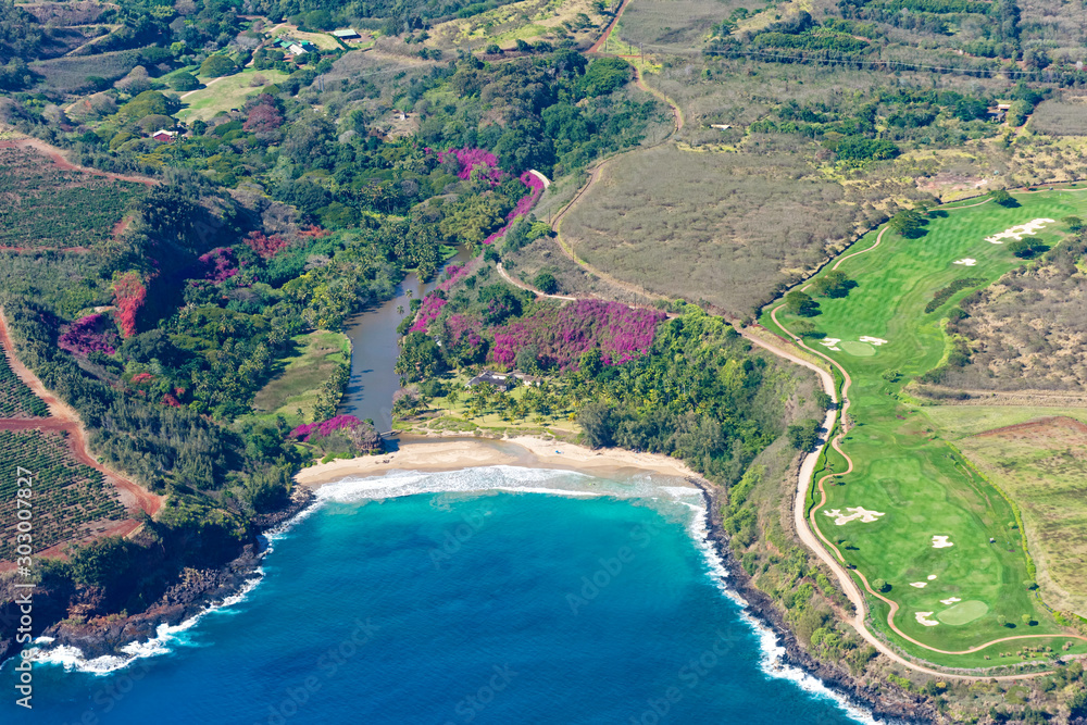 Aerial view of Kauai south coast showing coffee plantations near Poipu Kauai Hawaii USA Aerial view of Kauai south coast showing coffee plantations near Poipu Kauai Hawaii USA