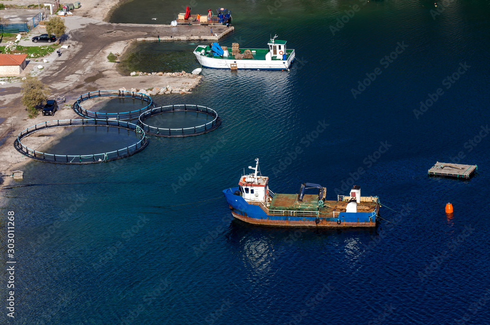 Growing fish in the open sea, view of the ponds with fish.