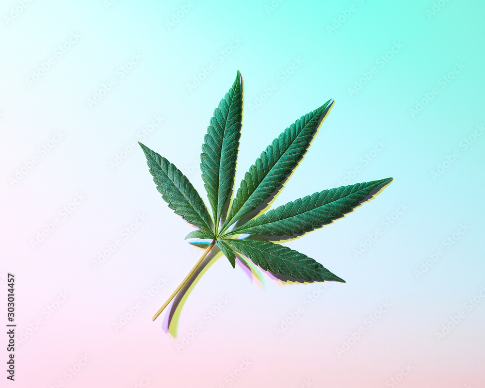 Cannabis Leaf with Psychedelic Colors Backgrounds and Shadows Cannabis Leaf with Psychedelic Colors Backgrounds and Shadows